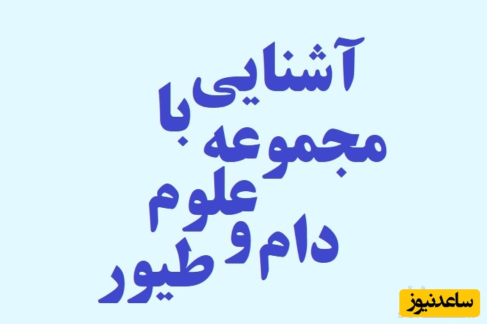 رشته علوم دام و طیور و بازار کار آن