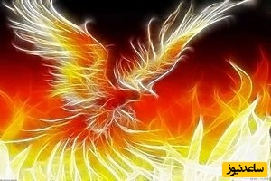 دیدن عنقا در خواب چه تعبیری دارد؟ / تعبیر خواب عنقا