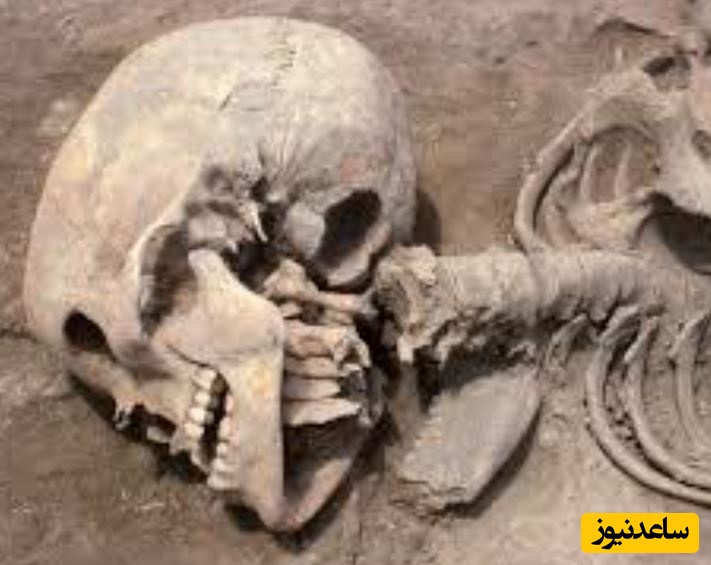 کشف هولناک باستان‌شناسان؛ قبر مرموزی در لهستان با نشانه‌ای از یک قتل آیینی
