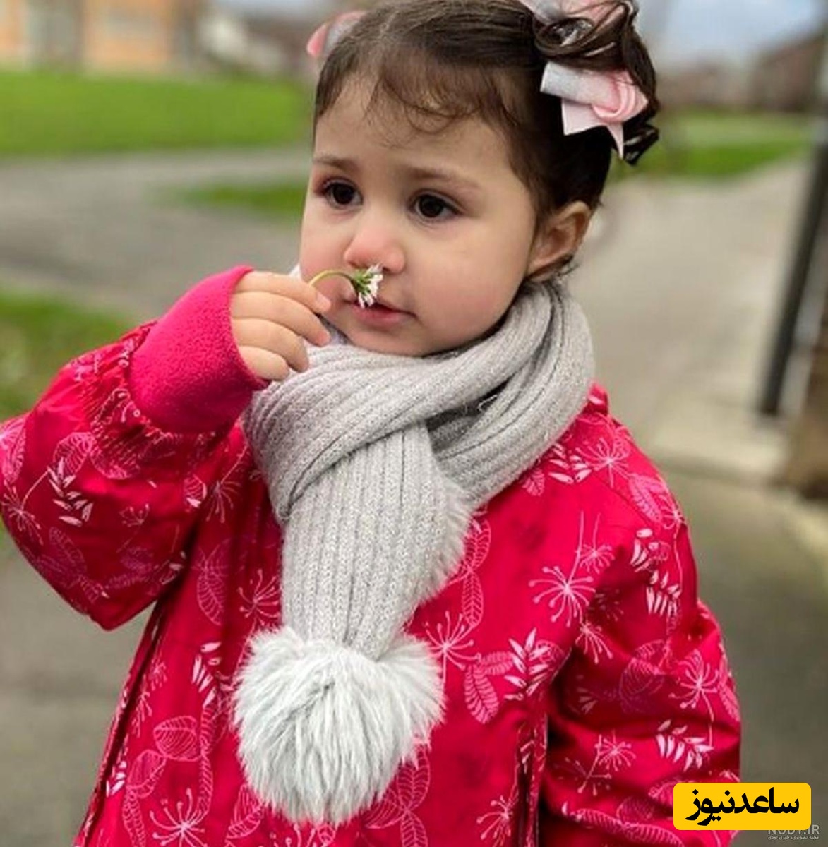 خوشگذرانی نبات استخری در کنار استخر لاکچری در دوبی