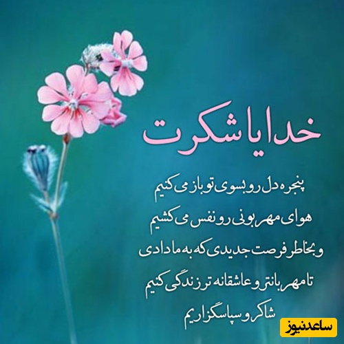 عکس نوشته شکرگزاری