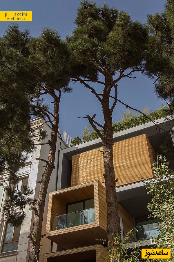 معماری خانه شریفی ها