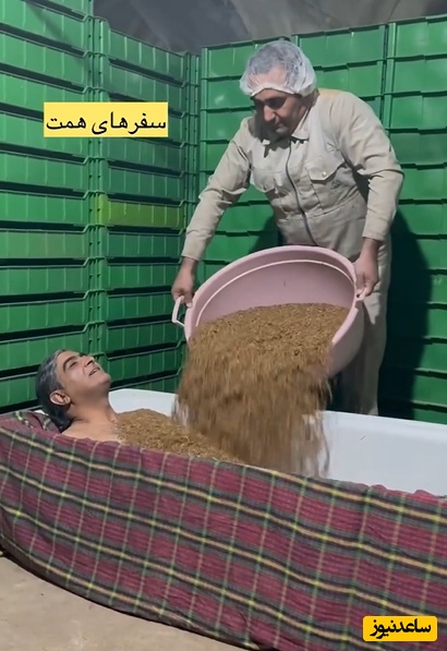 نوآوری‌های عجیب و غریب مشاغل؛ ابتکار صاحب یک حمام عمومی در یزد در ماساژ بدن مشتریانش یا کِرم‌های زنده!+ویدیو/ مشتری چه کِیفی میکنه!