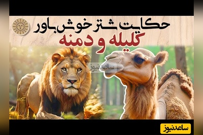 (ویدئو) حکایت پندآموز کلیله و دمنه درباره‌ی مکر و اعتماد؛ شترِ فراری به دنبال آزادی بود، اما حیله‌ی روباه او را به کام مرگ کشاند!