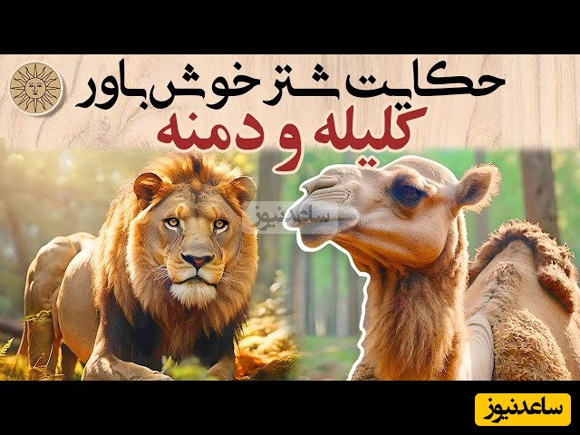 (ویدئو) حکایت پندآموز کلیله و دمنه درباره‌ی مکر و اعتماد؛ شترِ فراری به دنبال آزادی بود، اما حیله‌ی روباه او را به کام مرگ کشاند!