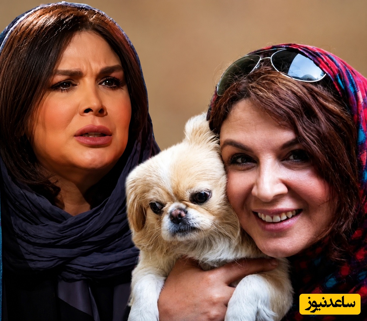 نماینده مجلس، شهره سلطانی را از کار بیکار کرد! حکم جنجالی «سلبریتی سگ‌باز» قلب خانم بازیگر را لرزاند