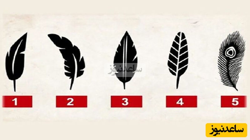 تست شخصیت شناسی