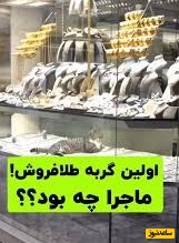فیلم جذابی از طلافروشی گربه ای که داخل ویترین لم دادنش از همه چی جذابتره🤣+ ویدئو