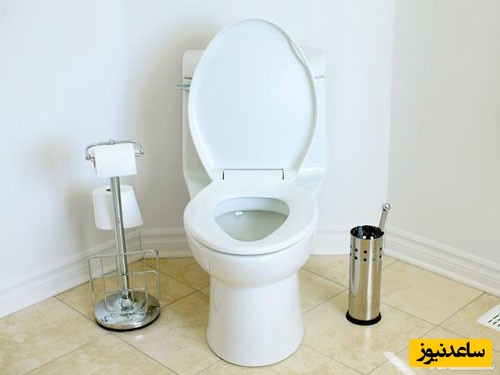 همه چیز درباره انتقال بیماری‌های جنسی و مقاربتی از طریق توالت فرنگی