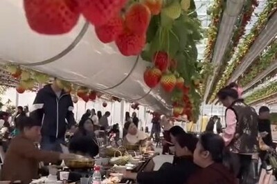 خلاقیت مشاغل؛ ایده استثنائی و ناب رستورانی مشهور در نوع سرو میوه تازه برای مشتریانش+ ویدیو/ به احترام این مغز باید ایستاده دست زد