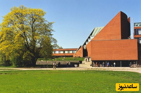 دانشگاه فنی