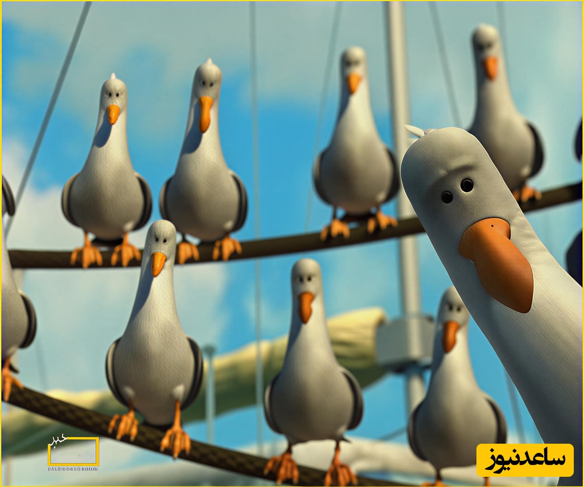 معما تصویری| اگه ضریب هوشی بالایی داری و فکر میکنی تیزبینی زیر 10 ثانیه مرغ دریایی رو تو تصویر پیدا کن!