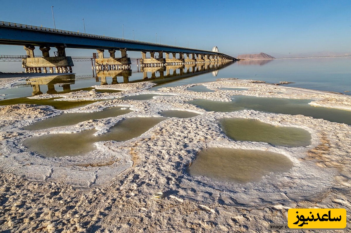 مسعود تجریشی رئیس دانشگاه شریف: بخاطر 2 میلیون دلار، دریاچه ارومیه 13 هزار ساله را خشک کردند