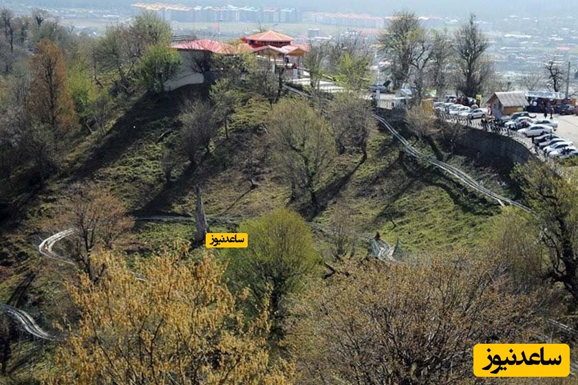 پارک جنگلی سیاه داران کجاست؟