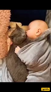 اصرار بچه به گربه برای اینکه باهاش حرف بزنه🤣/ داشت خفه میکرد بیچاره رو+ ویدیو