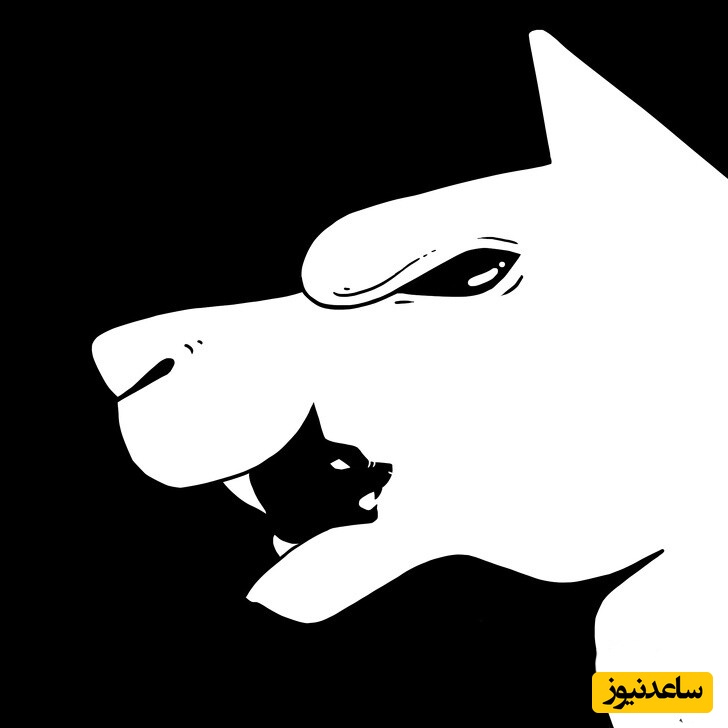 چالش شخصیت شناسی/ آنچه در اولین نگاه می بینید نگاه شما به مقوله‌ی عشق را آشکار می سازد