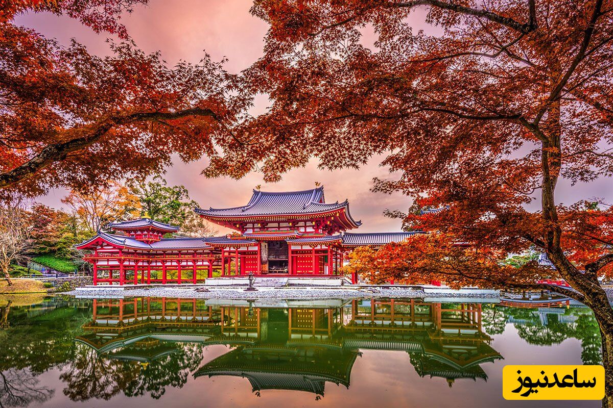 سفر خارجی در پاییز