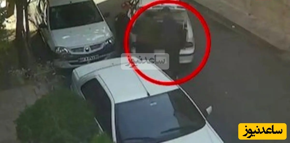 ببینید؛ لحظه سرقت میلیاردی گاوصندوق از خانه ای در سعادت آباد تهران / در نگهداری اشیاء گران قیمت دقت کنید🚫