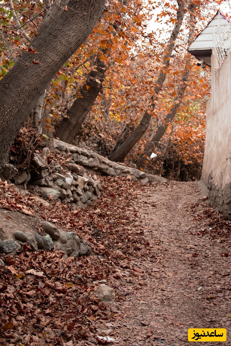 کوچه باغ کن