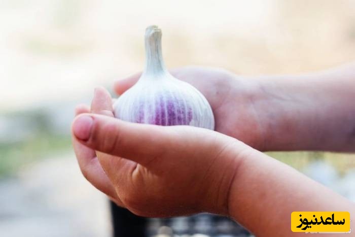 فواید سیر برای کودکان