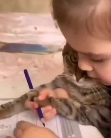 (ویدئو) نقاشی بامزه دختربچه کیوت با دستای گربه اش /فقط نگاه گربه🤣