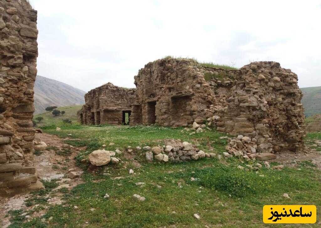 کشتن جن توسط یک هموطن جسور در یکی از روستاهای اطراف مسجد سلیمان + عکس