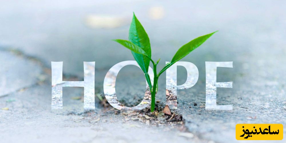 (ویدئو) اگر خسته‌ای، اگر دلت آرامش می‌خواهد… فقط این 3 دقیقه را گوش کن؛ حرف‌هایی دارد که انگار دستت را می‌گیرد و از تاریکی بیرون می‌آورد…