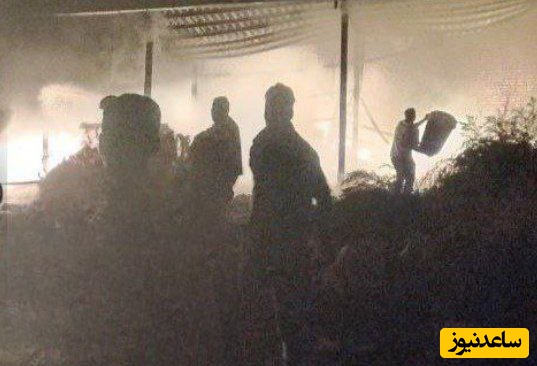 نجات 200 راس گوسفند از دام آتش توسط آتش نشانان مرندی