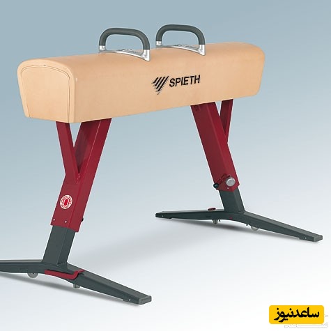 دیدن خرک در خواب چه تعبیری دارد؟ / تعبیر خواب خرک