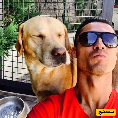 رونمایی از سگ لاغر رونالدو با صورت پشمالو روی مبل لاکچری/ په‌په با جت شخصی به بیمارستان رفت؟+عکس