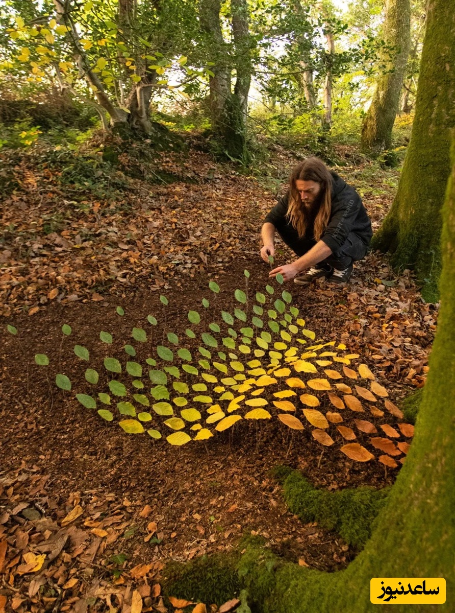 فلوئنتم کولوس، لیتِل میلفورد، ولز