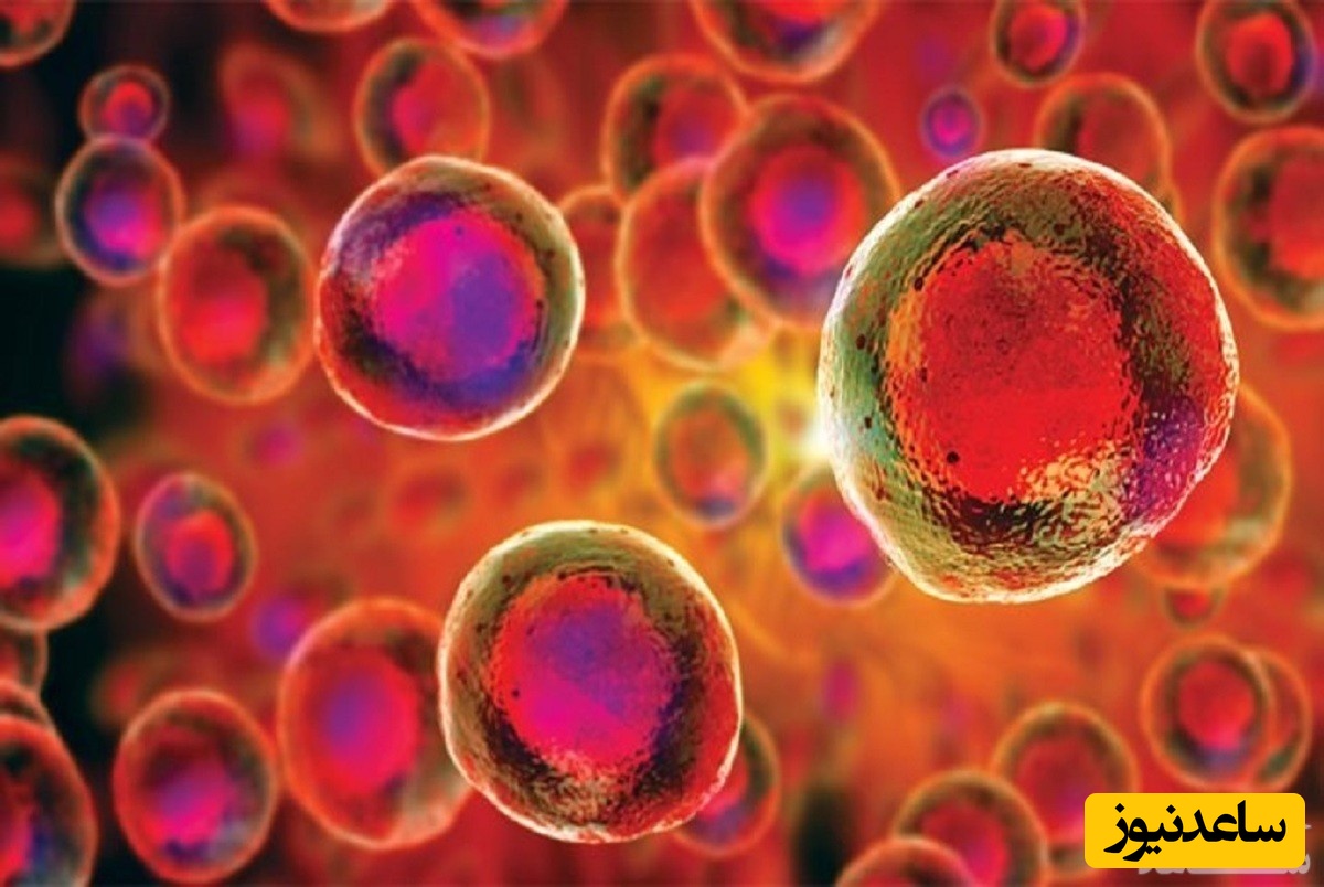 نحوه درمان ناباروری با سلول های بنیادی