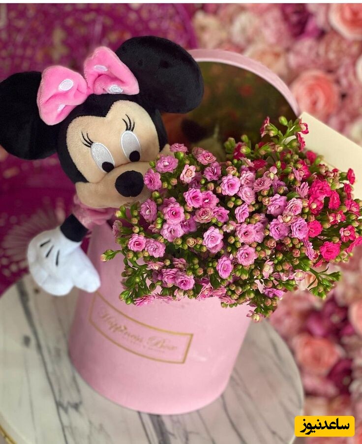 ایده باکس ولنتاین