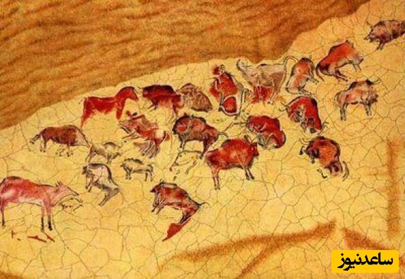 غار آلتامیرا 