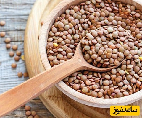 دیدن عدس در خواب چه تعبیری دارد؟ / تعبیر خواب عدس