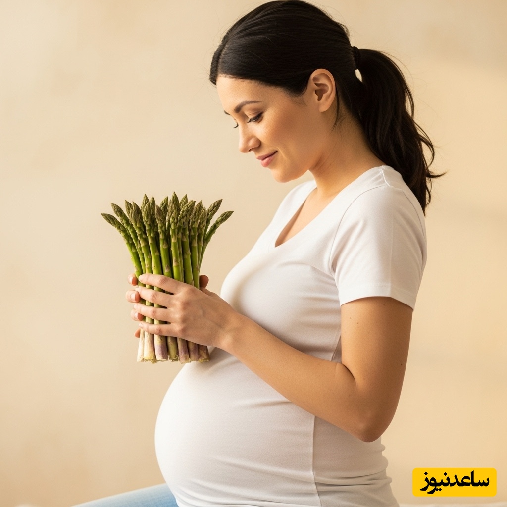 خواص مارچوبه برای بارداری و باروری