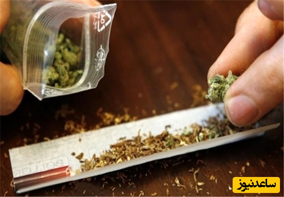 گران شدن مواد مخدر در جنگ 12 روزه / روی آوردن نوجوانان به مصرف گل در جنگ 12 روزه!