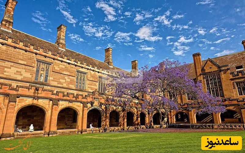 دانشگاه سیدنی