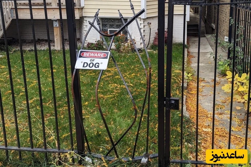  سگ نرده‌ای خمیده