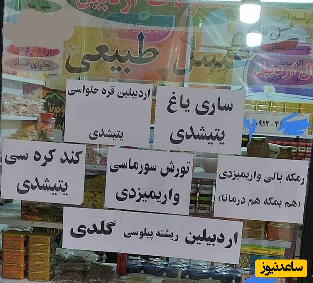 خلاقیت اردبیلی