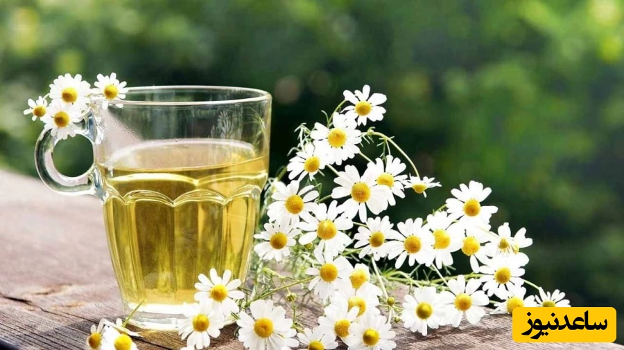 چرا باید از بابونه برای موی سر استفاده کنیم؟