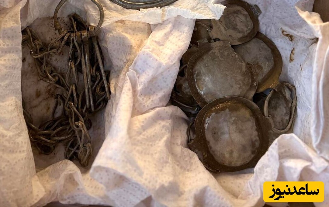 «چاه چوبی» بعد از 7 هزار سال از زیر خاک بیرون آمد
