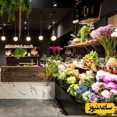 خلاقیت منحصربفرد گلفروش تهرانی در درست کردن دسته گل مینیمال و نصبشون جلوی مغازه برای برداشتن مردم+ویدیو/ آدم حظ میکنه از این شعور بالا