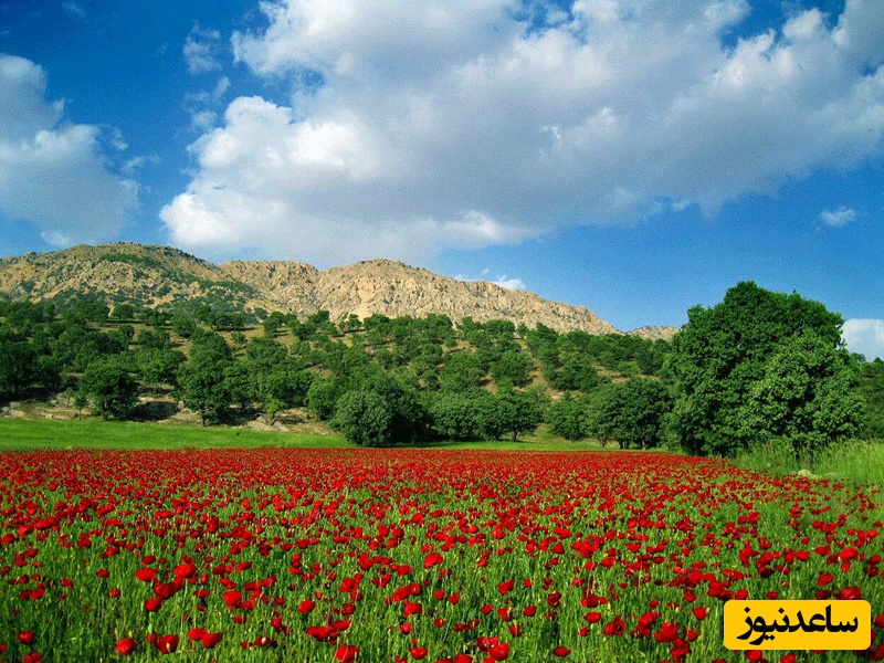 سفری به تل خسرو؛ جایی که تاریخ، طبیعت و آرامش در کنار هم معنا پیدا می‌کنند + عکس