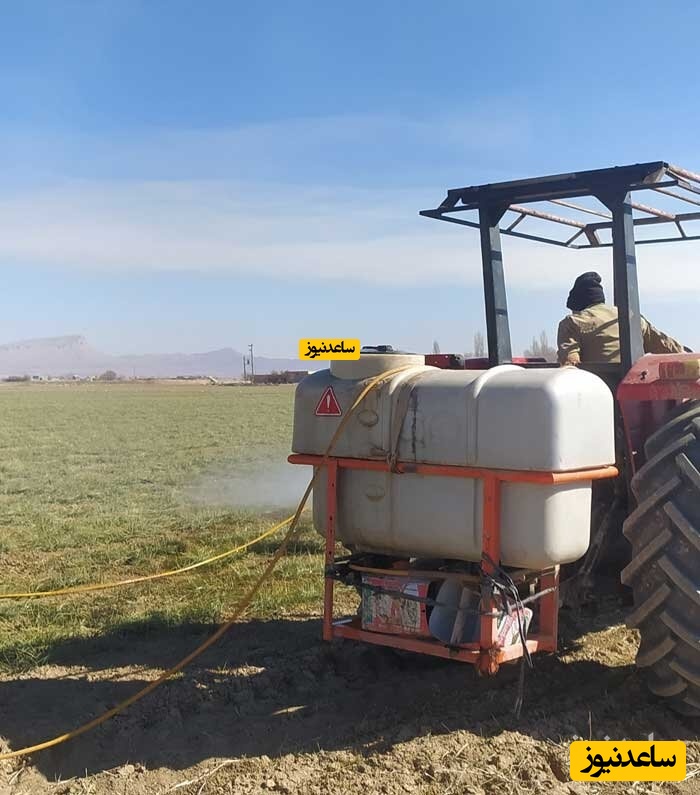 محلول پاشی زعفران، تکنیک افزایش 120 درصدی برداشت گل زعفران