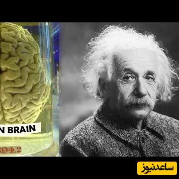 (ویدئو) حقایق جالب و باورنکردنی از مغز انیشتین!/بخش مربوط به نوشتن و زبان ضعیف تر از آدمای معمولی بوده😮
