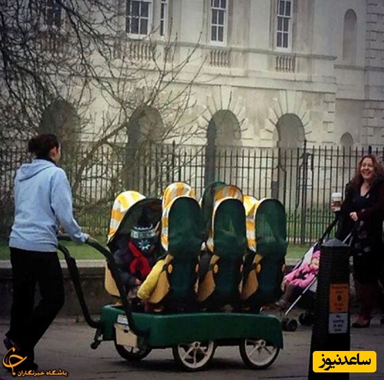 کالسکه 6قلو