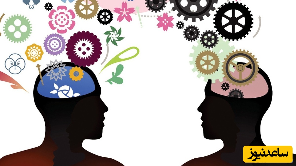 تست روانشناسی/ نقاط قوت شخصیت شما چیست؟