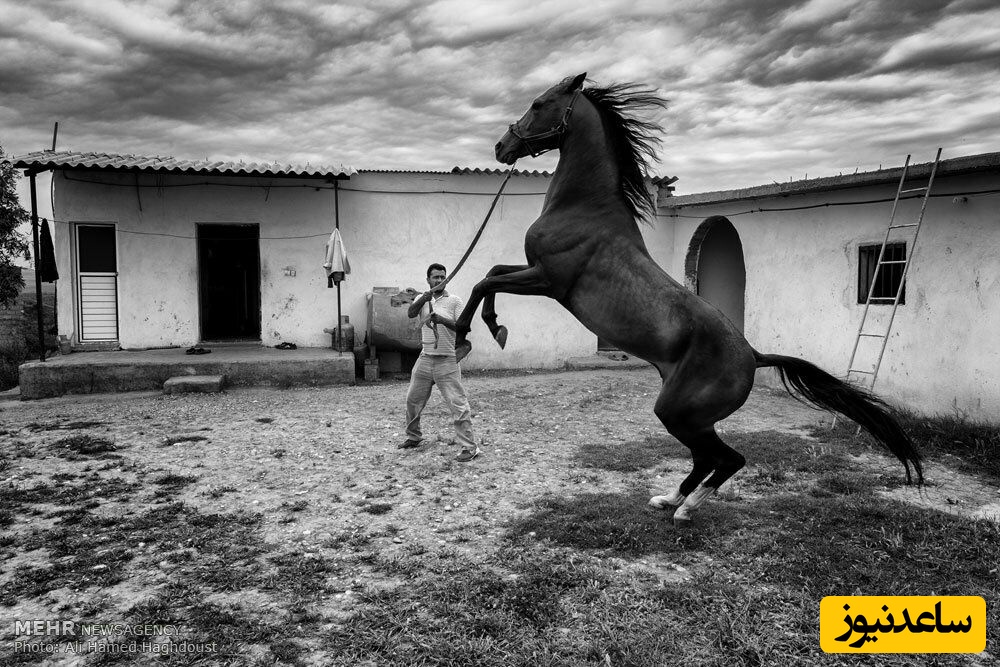عکس ثبت شده توسط علی حامد حق دوست