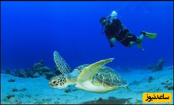 منابع دروس آزمون رشته زیست شناسی دریا و ضرایب آن در مقطع دکتری